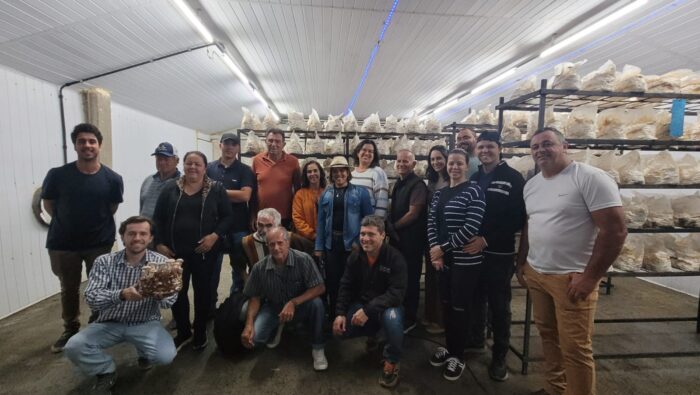Parceria busca incentivar cultivo de cogumelos entre produtores rurais em Juiz de Fora 3 WhatsApp Image 2025 08 07 at 16.10.36