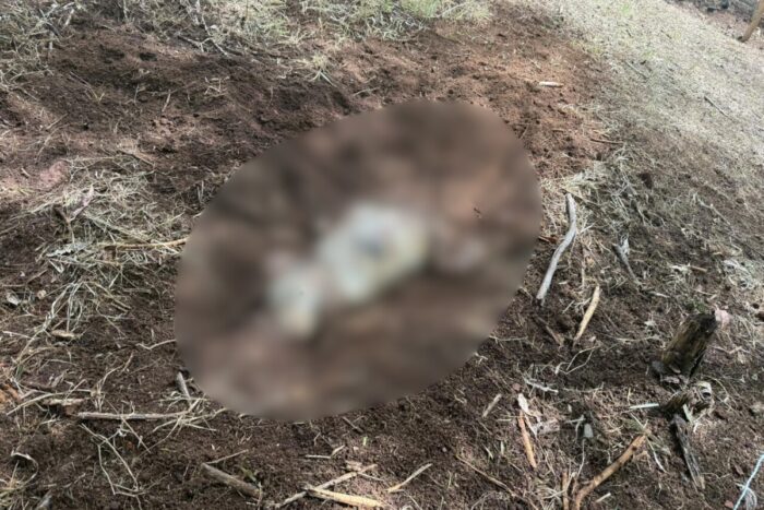 Cadáver é encontrado no Graminha homem sequestrado