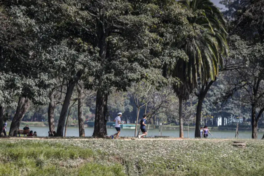 Mulheres relatam agressão durante atividade física no Parque Ibirapuera 1 parque ibirapuera