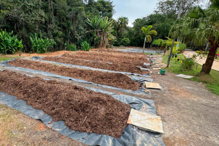 projeto terra boa pjf