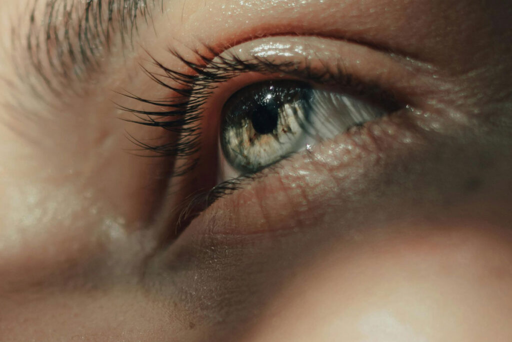 venda de iris pexels