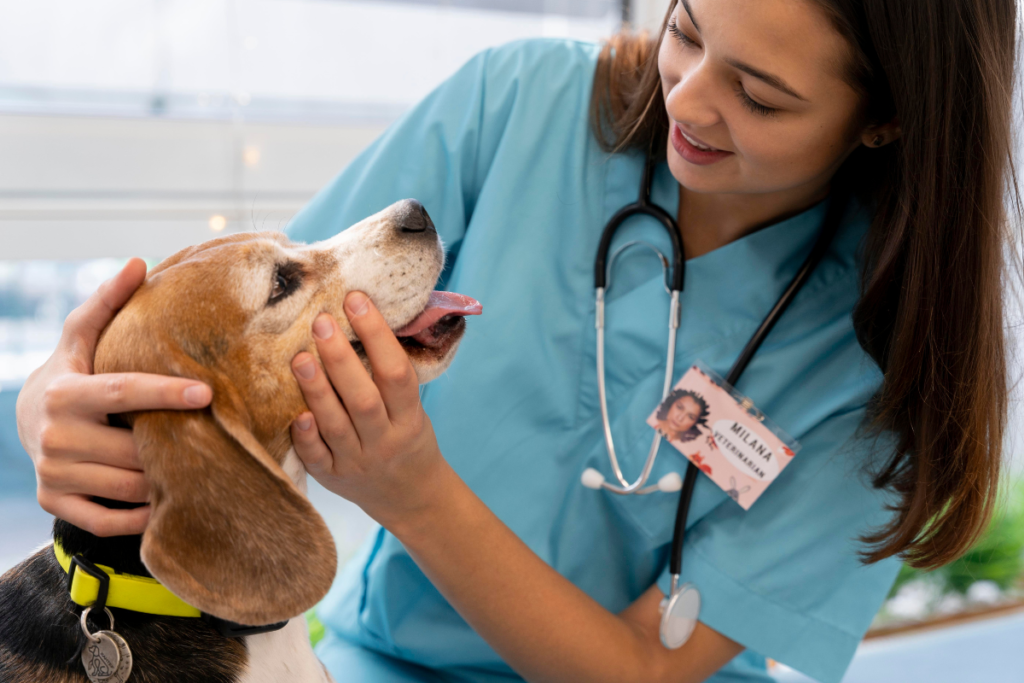 Mau hálito em cães e gatos: veja 7 dicas para evitar o 'bafinho' no seu pet