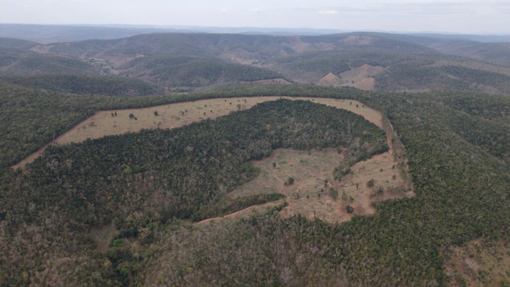Multas por desmatamento na Mata Atlântica passam de R$ 26 milhões em Minas 1 Multas por desmatamento na Mata Atlântica passam de R$ 26 milhões em Minas Gerais