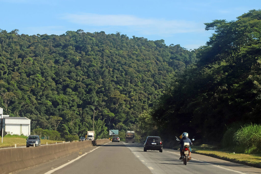 Áreas queimadas na BR-040 entre BH e Juiz de Fora triplicam 1 Áreas queimadas na BR-040 entre BH e Juiz de Fora triplicam