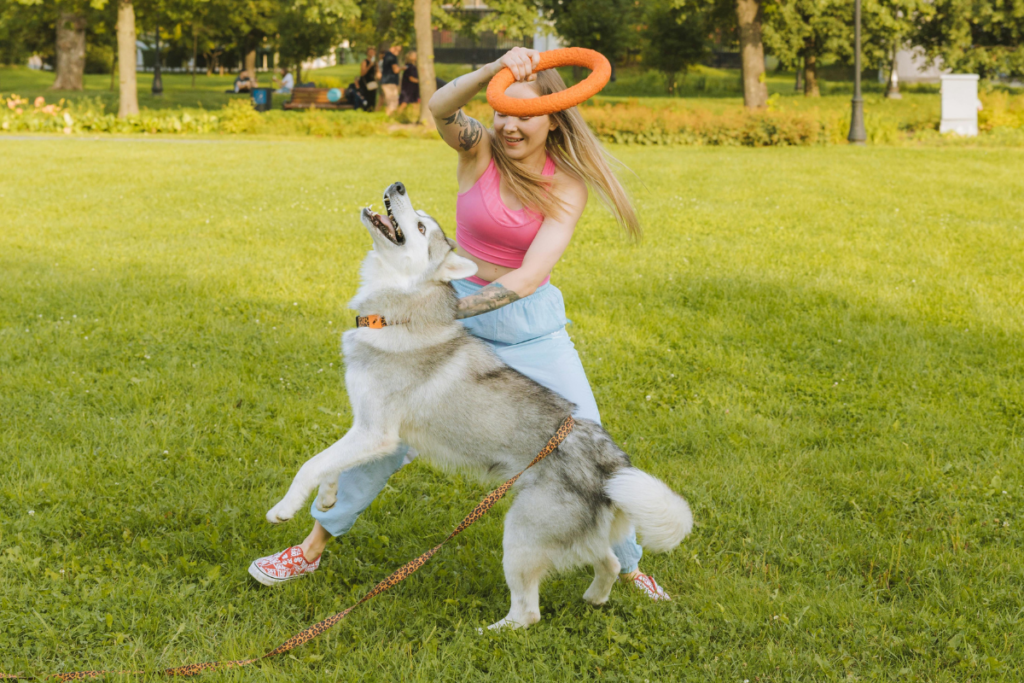 Veja 8 erros para não cometer no adestramento do cachorro 6 Cachorro Adestramento Pexels