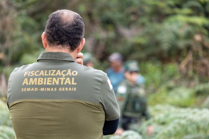 Multas por desmatamento na Mata Atlântica passam de R$ 26 milhões em Minas 2 Operacao Mata Atlantica em Pe Sargento Andre Guedes PMMG