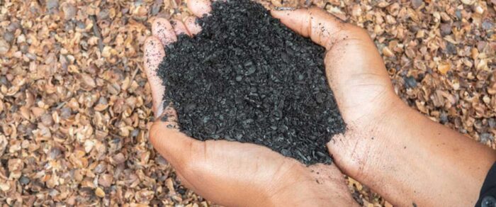 Cidade mineira recebe investimento de R$ 15 milhões em 1ª fábrica de biochar a partir da cana no Brasil 1 biochar foto netzero