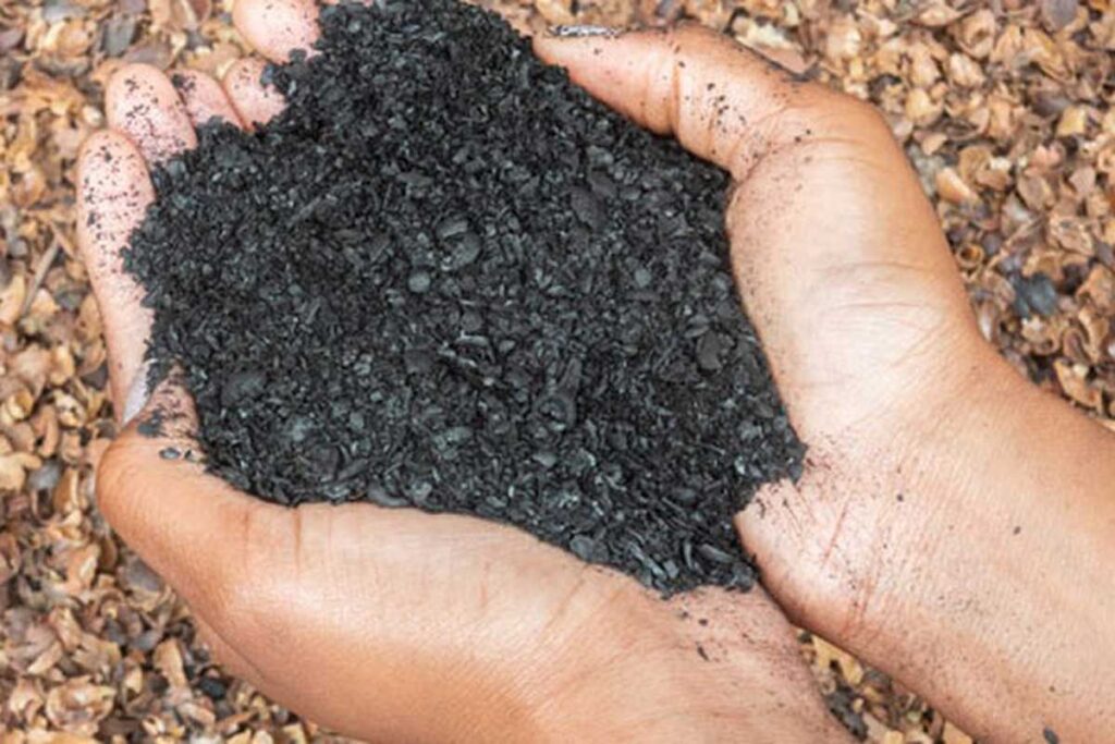 Cidade mineira recebe investimento de R$ 15 milhões em 1ª fábrica de biochar a partir da cana no Brasil 2 fábrica de biochar