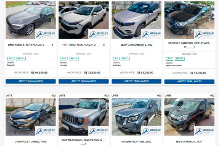 falso-site-leilão