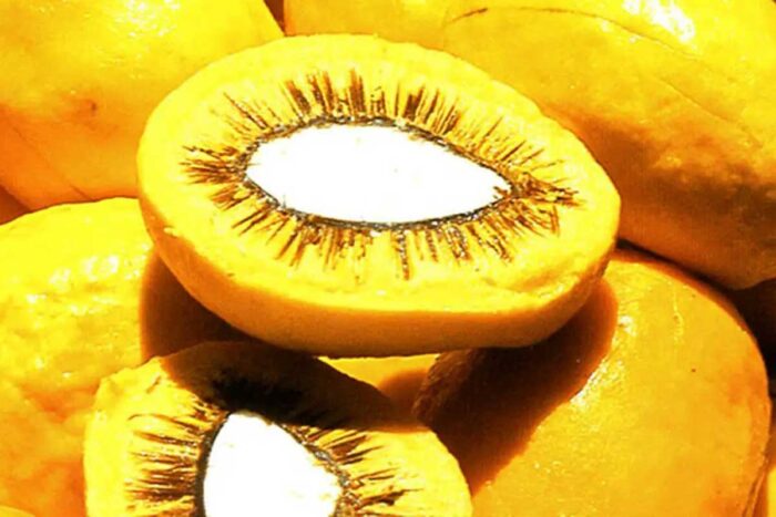 pequi