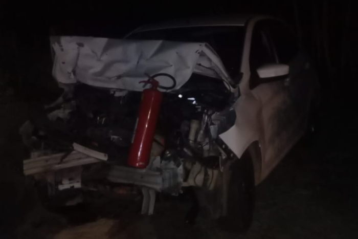 Carro pega fogo após desviar de cavalo na pista e causar acidente 1 Carro pega fogo após desviar de cavalo na pista e causar acidente