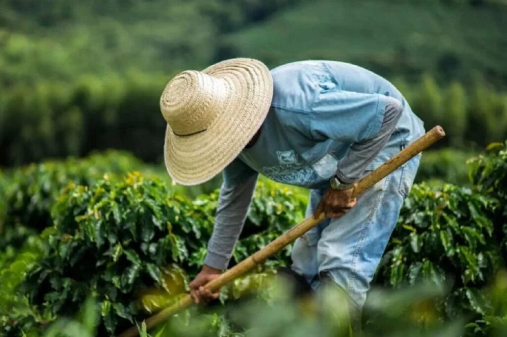 PJF abre cadastro para distribuição gratuita de composto orgânico a produtores rurais 1 produtor rural foto reproducao