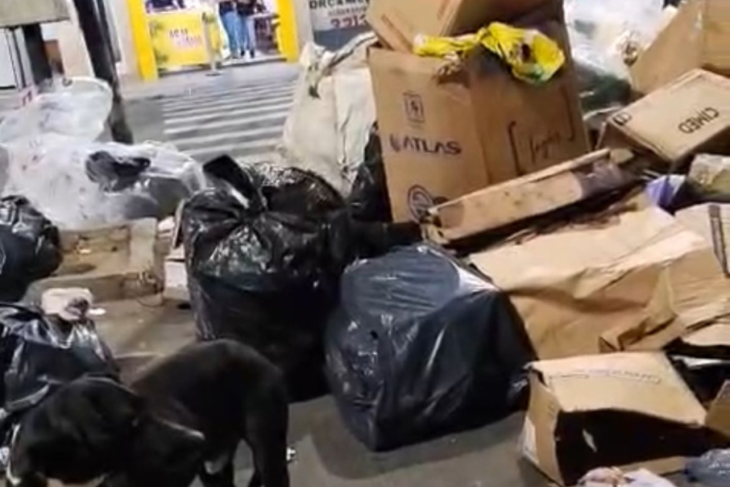 Moradores do Manoel Honório denunciam acúmulo e dispersão de lixo nas ruas 1 1200 x 800 1 5
