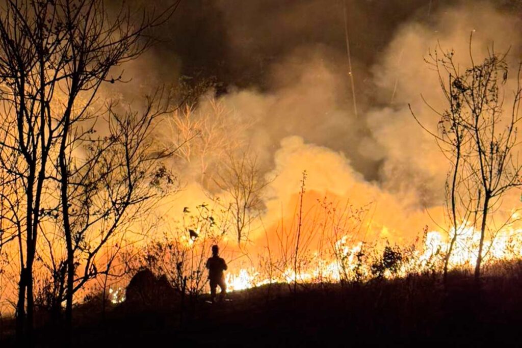 Incêndio consome 5 hectares de Área de Proteção Ambiental da Mata do Krambeck 1 INCÊNDIO-MATA-KRAMBECK
