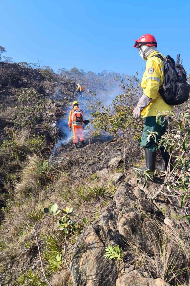 Bombeiros, brigadistas e aeronaves são empenhados no combate a incêndio na Serra de São José; veja vídeo e fotos 2 Bombeiros, brigadistas e aeronaves são empenhados no combate a incêndio na Serra de São José; veja vídeo e fotos