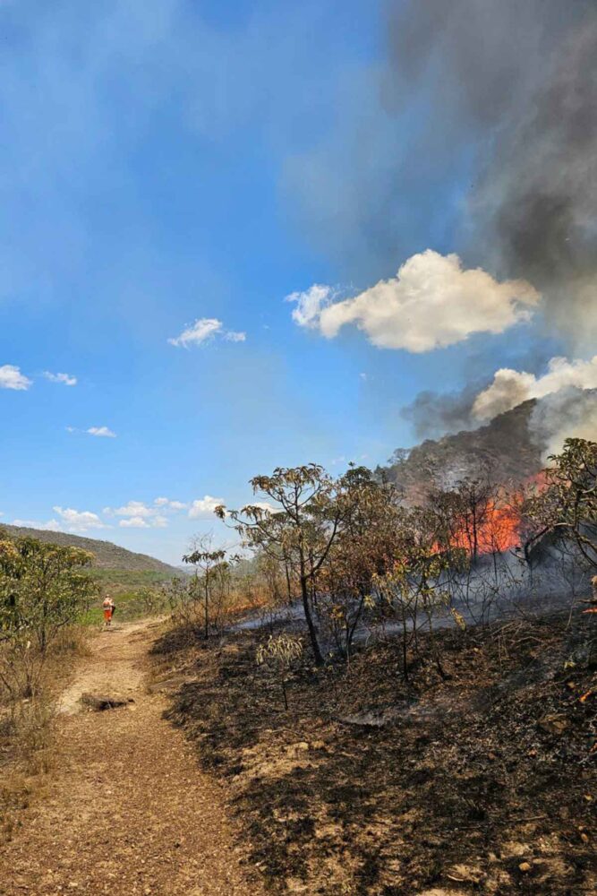 Bombeiros, brigadistas e aeronaves são empenhados no combate a incêndio na Serra de São José; veja vídeo e fotos 1 Bombeiros, brigadistas e aeronaves são empenhados no combate a incêndio na Serra de São José; veja vídeo e fotos