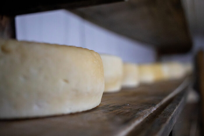 O queijo que desafia o tempo: o sabor da Canastra 3 O queijo que desafia o tempo: o sabor da Canastra