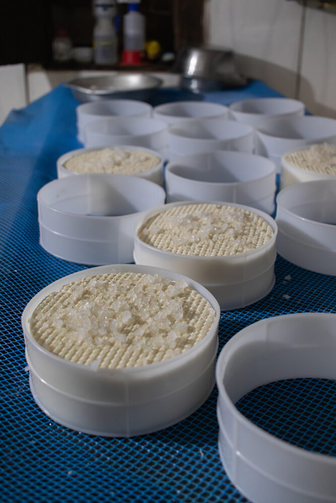 O queijo que desafia o tempo: o sabor da Canastra