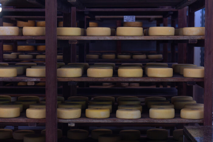 O queijo que desafia o tempo: o sabor da Canastra