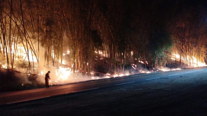bambuzal uniao industria foto bombeiros