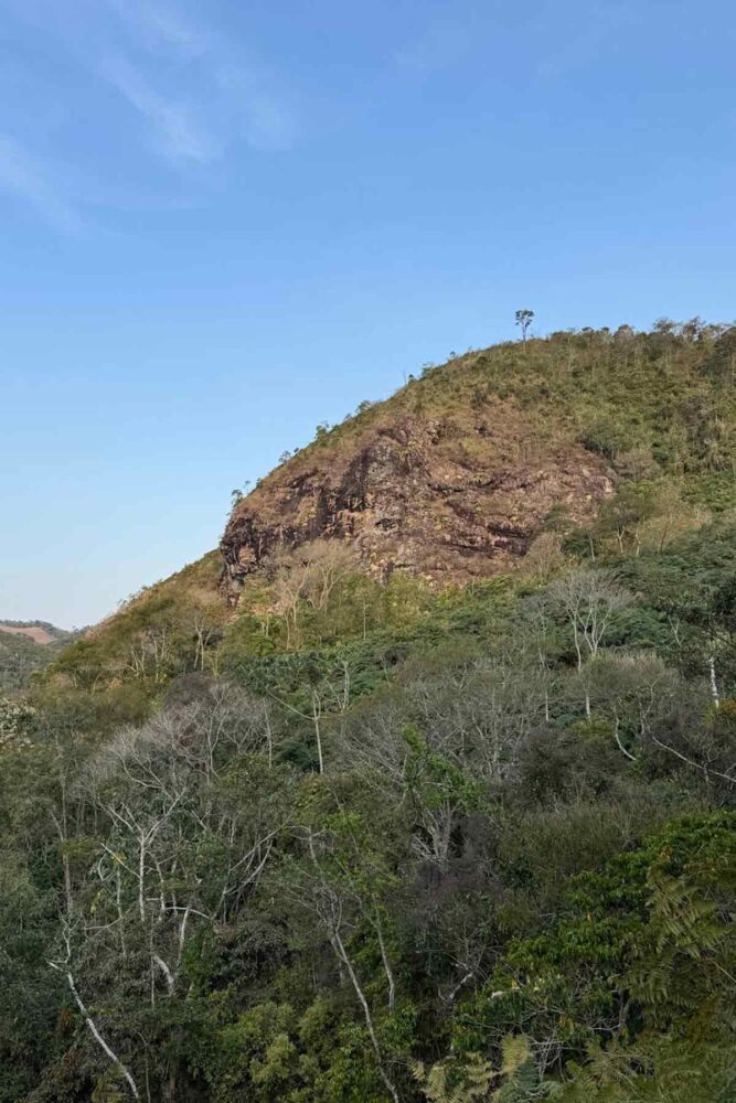 Bombeiros resgatam cão preso em pedreira de difícil acesso na região 1 bombeiros