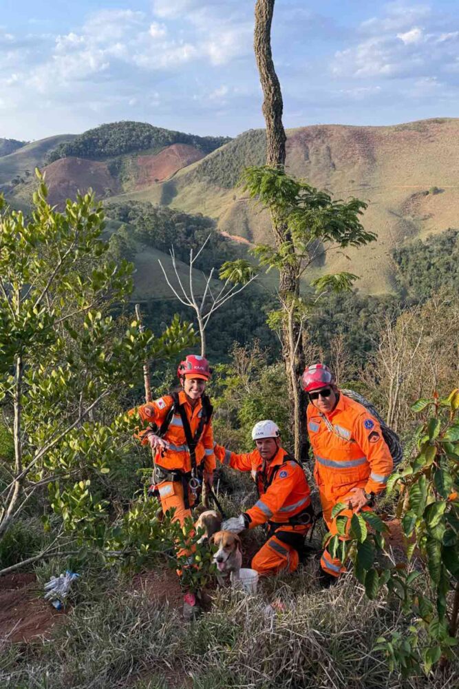 Bombeiros resgatam cão preso em pedreira de difícil acesso na região 2 barbacena resgate cachorro pedreira foto bombeiros