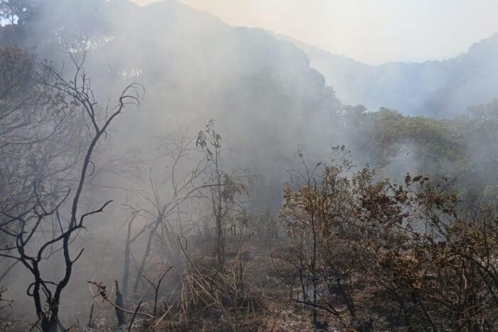 Incêndios: 7 Unidades de Conservação são alvo de operações de combate a fogo em Minas 1 Sete Unidades de Conservação são alvo de operações de combate a incêndios em Minas