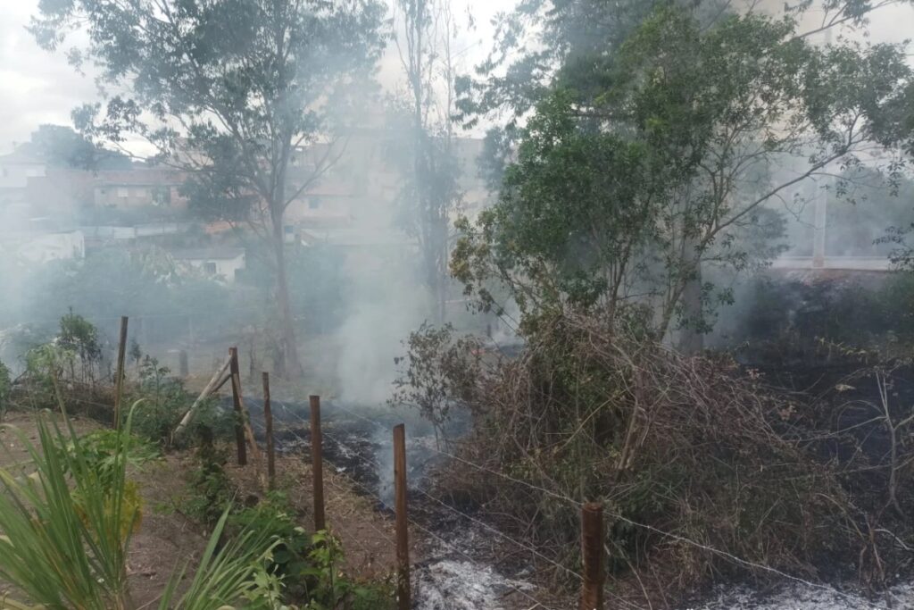 Homem é preso e multado em R$ 1 mil por atear fogo em lote 1 Homem é preso e multado em R$ 1 mil por atear fogo em lote