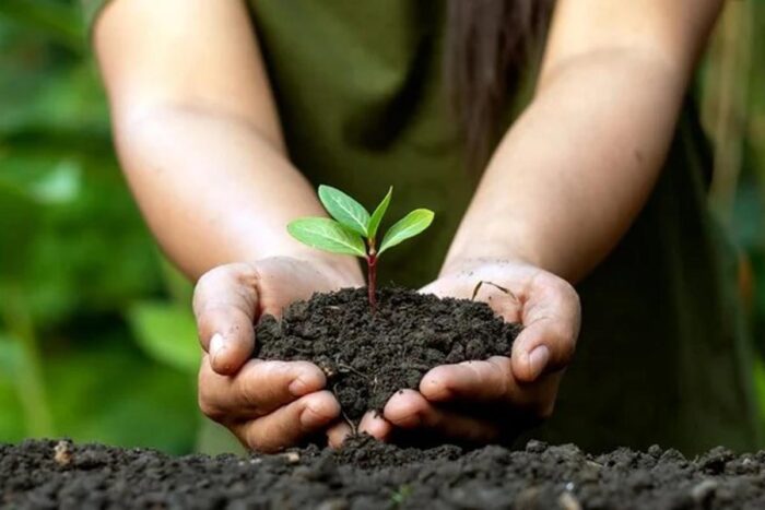 Curso on-line sobre empreendedorismo sustentável tem inscrições gratuitas até sexta 1 Curso on-line sobre empreendedorismo sustentável tem inscrições gratuitas até sexta