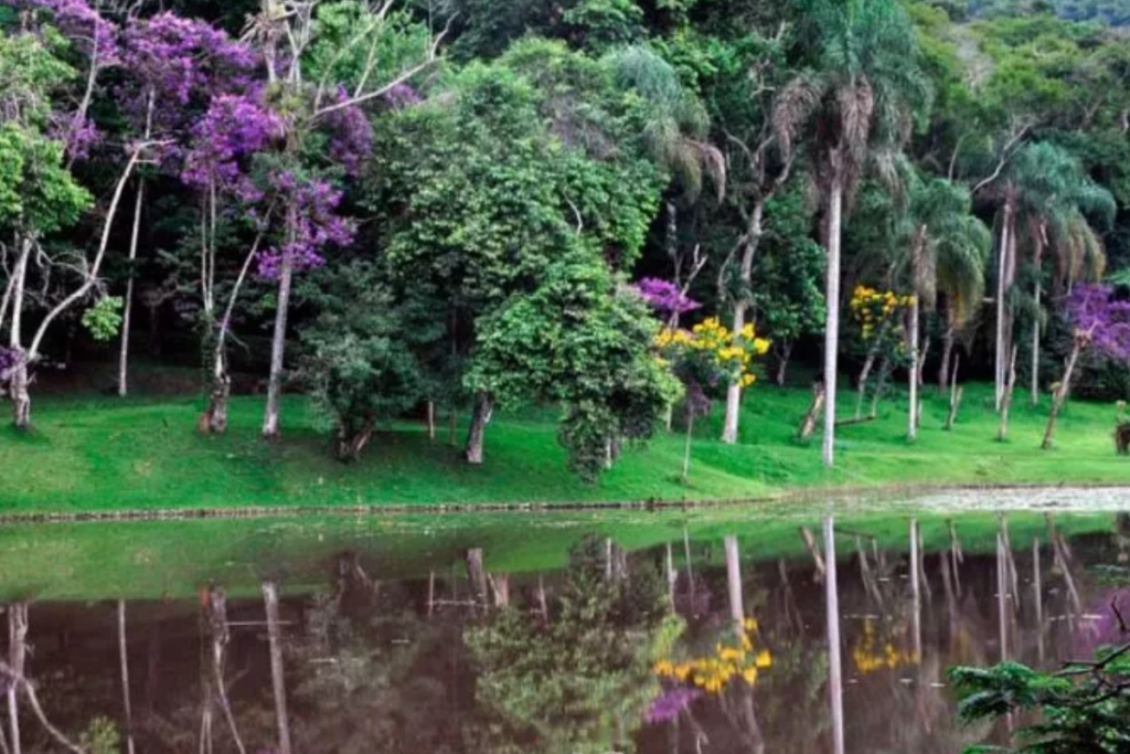 Projeto cultural gratuito de preservação socioambiental é realizado em Juiz de Fora 2 jardim botanico ufjf