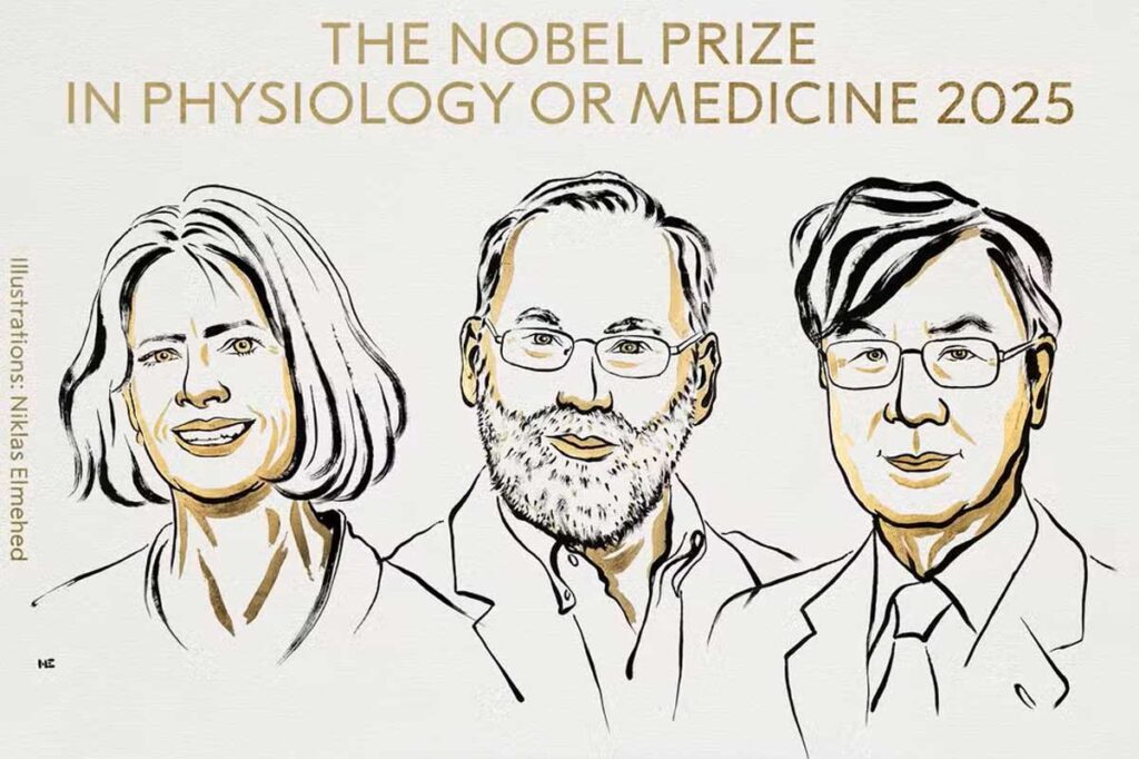 nobel de medicina 2025