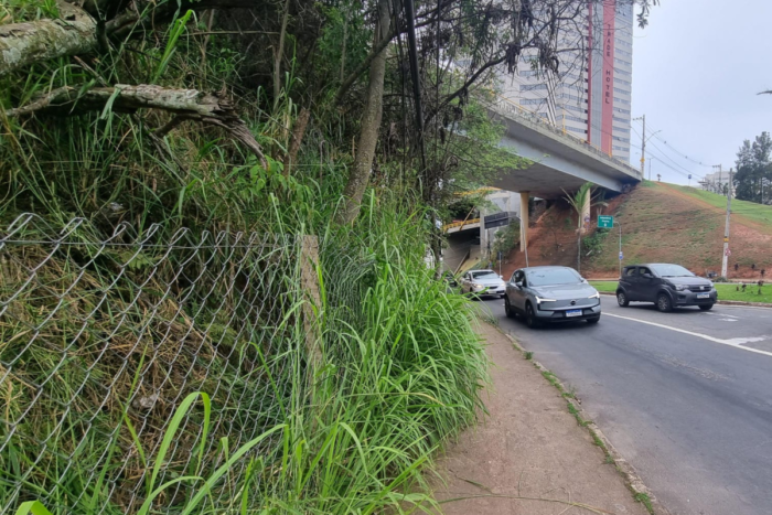 Mato alto avança sobre calçada na rotatória do Cascatinha 1 1200 x 800 15
