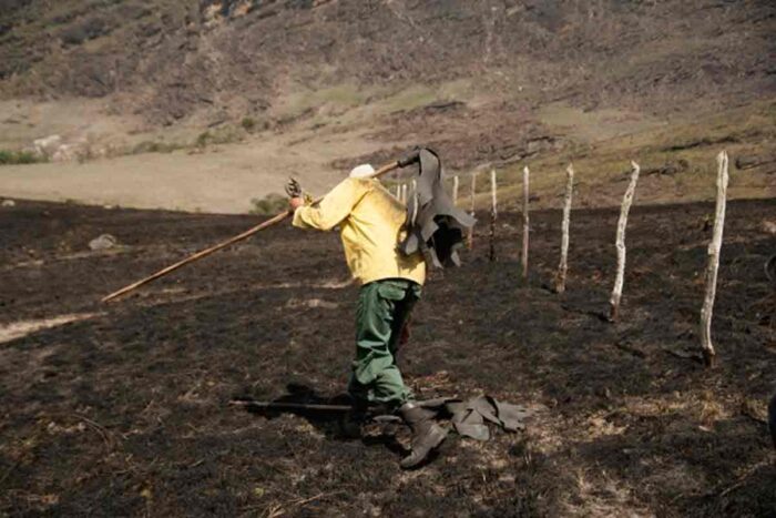 Minas Gerais registra quase 400 incêndios em unidades de conservação em 2025 1 incêndios