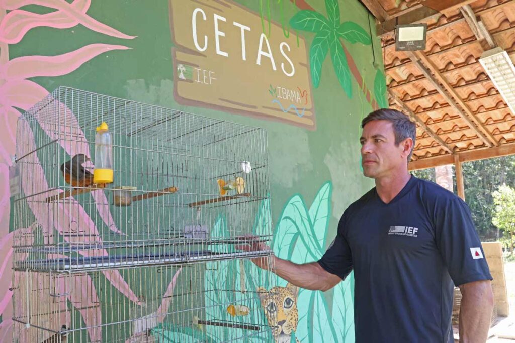 Expansão urbana e degradação ambiental elevam resgates de animais silvestres em Juiz de Fora 5 expansão urbana
