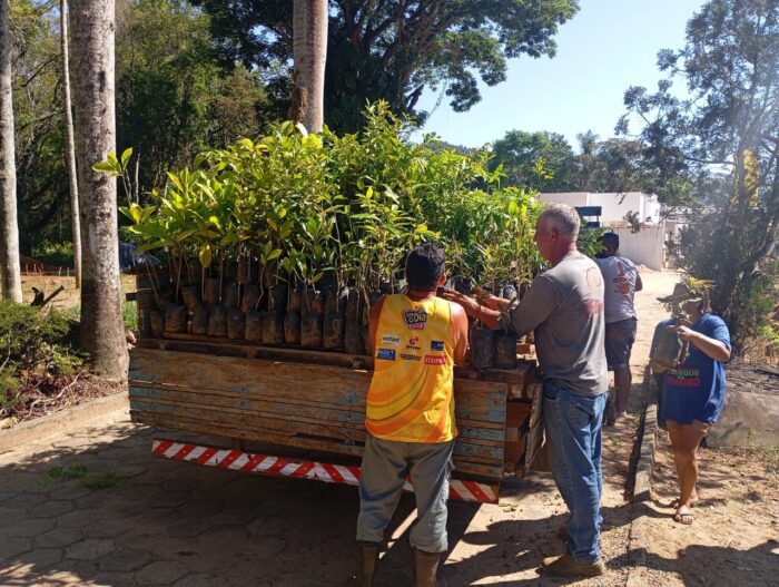 Crianças e jovens plantam mais de duas mil mudas nativas da Mata Atlântica em projeto mineiro 2 Criancas e jovens plantam mais de duas mil mudas nativas da Mata Atlantica em projeto mineiro