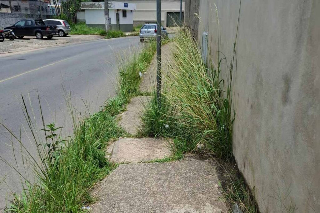 Vegetação atrapalha mobilidade de pedestres no Democrata 2 VU-CALÇADA-VEGETAÇÃO-CAPA