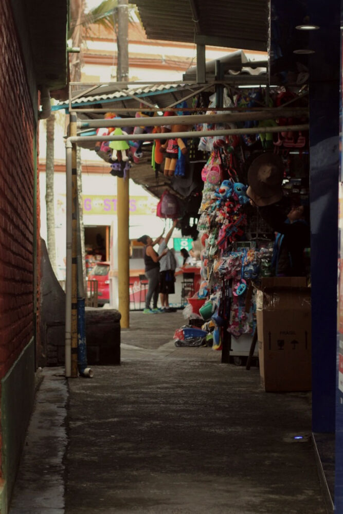 Livro preserva a memória arquitetônica de Barbacena em 200 fotos de casas, portas e janelas 2 livro barbacena 2 divulgacao