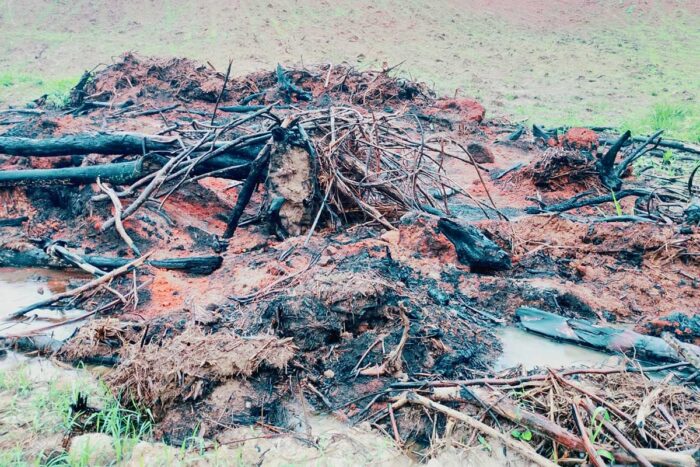Polícia de Meio Ambiente aplica R$ 536 mil em multas por desmate de 18 hectares em Pirapetinga