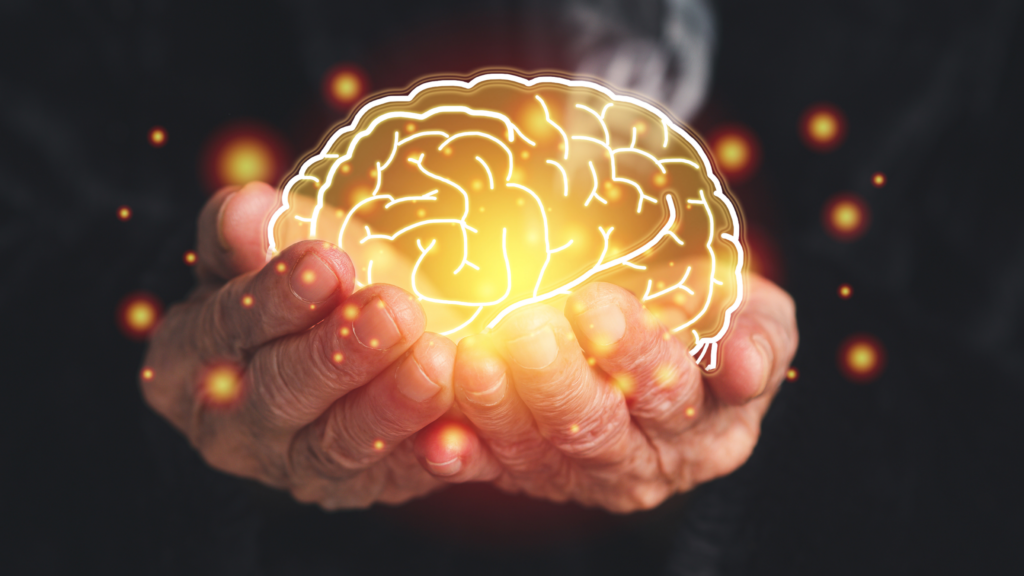 Pesquisas recentes indicam que cannabis medicinal e Alzheimer podem estar ligados a freio na progressão da doença 2 cannabis medicinal e alzheimer estudo brasileiro com microdoses