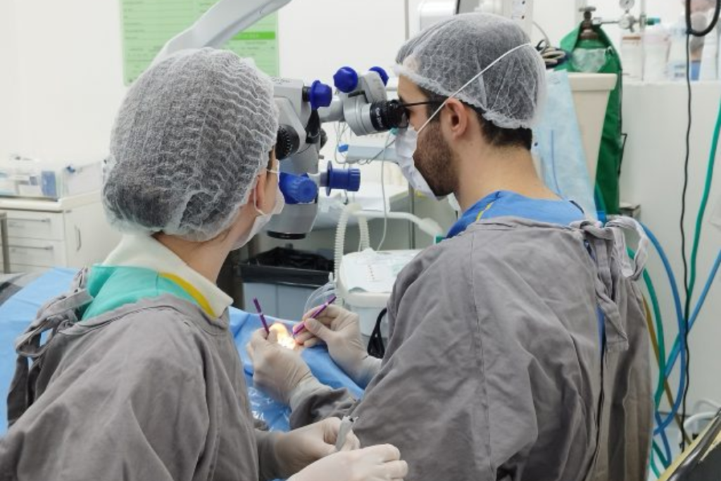 HU-UFJF oferece mais de 130 vagas de residência em Juiz de Fora 1 HU UFJF Residencia Medica Divulgacao