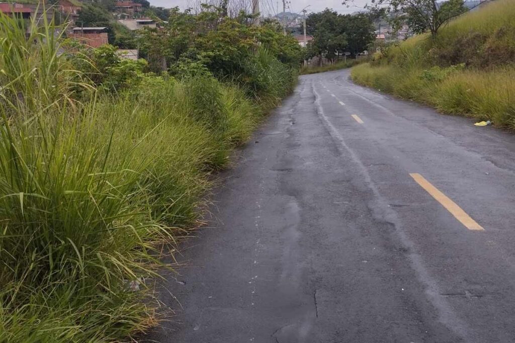 Mato alto invade Rua no São Judas Tadeu e reduz acostamento 2 Mato alto invade rua no São Judas Tadeu e reduz acostamento