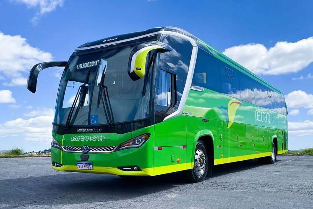 VIACAO MULTA 220 MIL