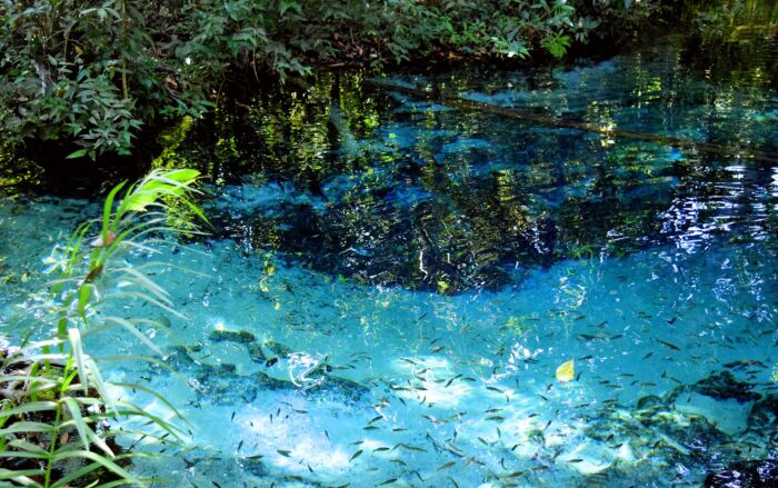 aquario encantado nobres mato grosso