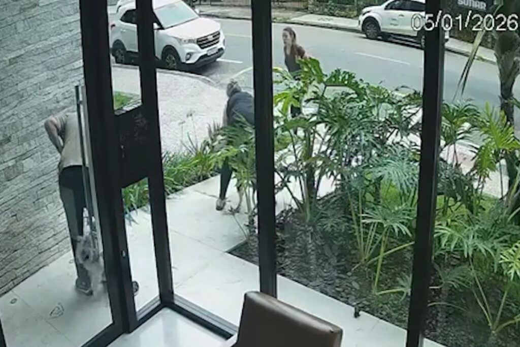 Ataque de pitbull deixa cadela ferida no Bom Pastor