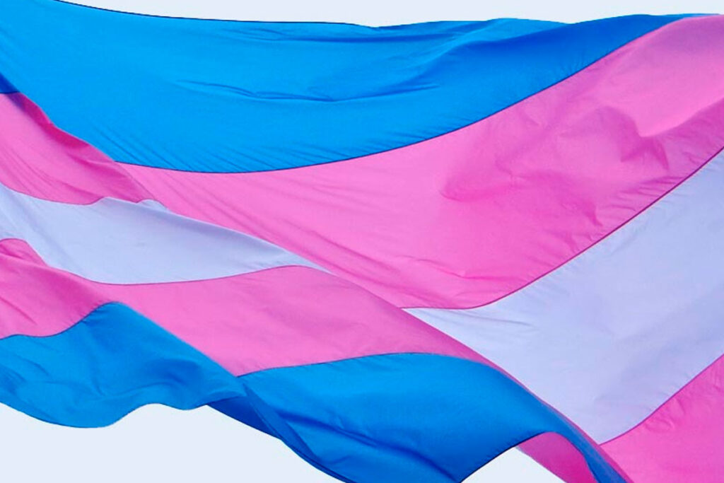 bandeira trans reproducao