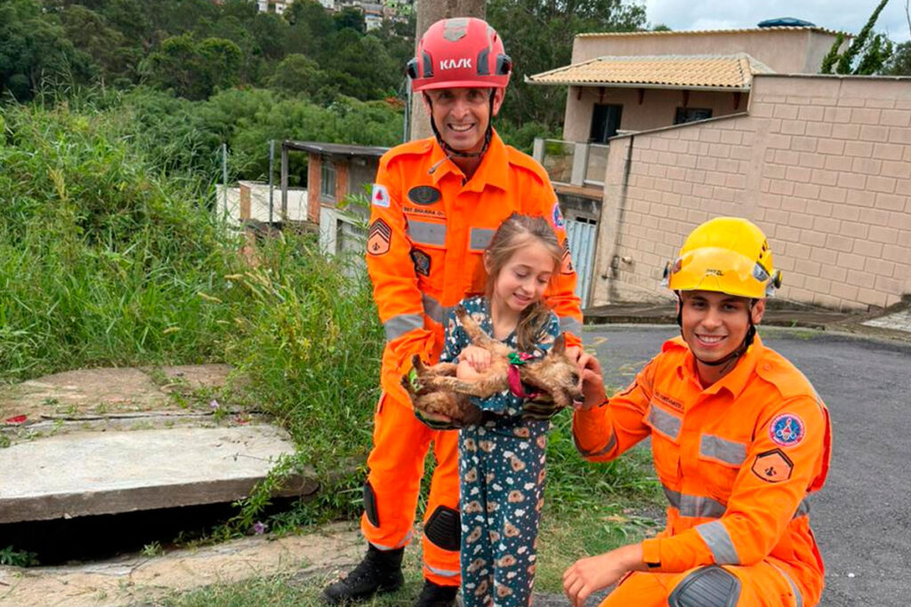 Bombeiros resgatam cãozinho que caiu em bueiro de 2 metros 2 caozinho resgatado bombeiros barbacena