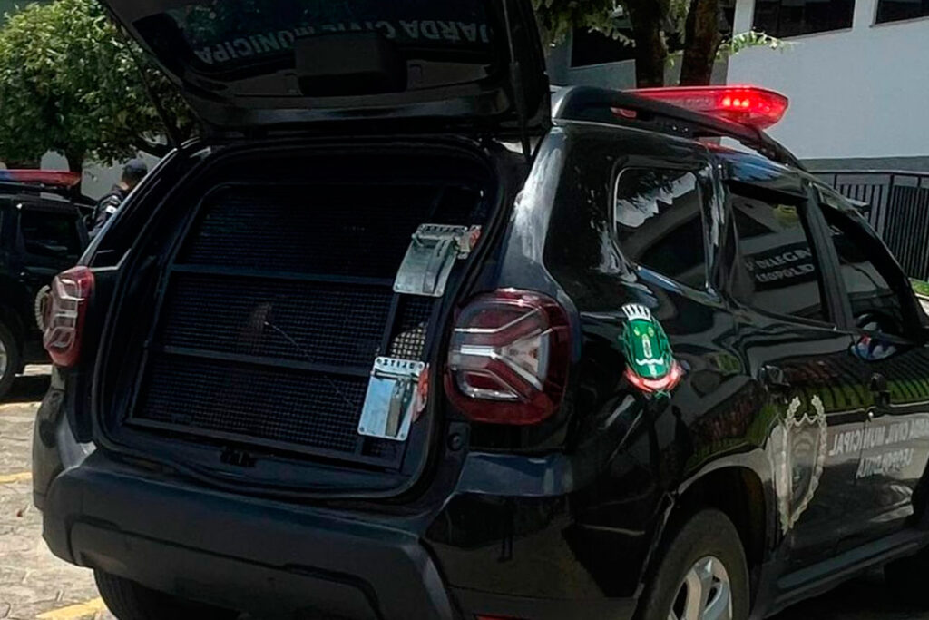 homem atropela cachorro foto guarda municipal leopoldina
