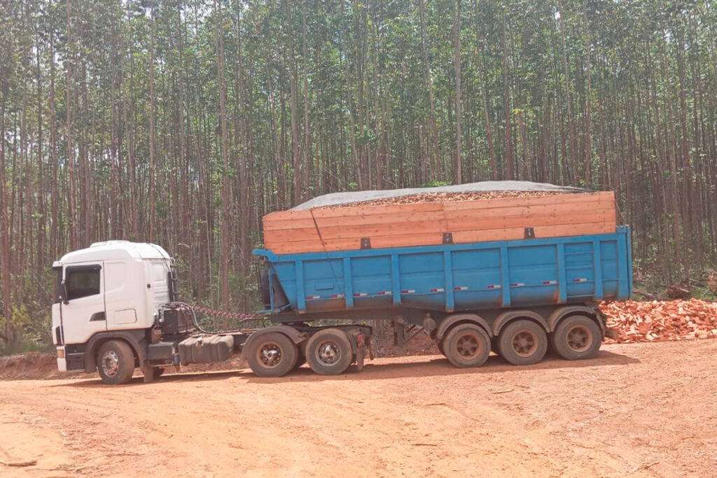 Trio é preso em flagrante por transporte de madeira ilegal em Santa Rita de Ibitipoca 1 madeira ilegal crime ambiental
