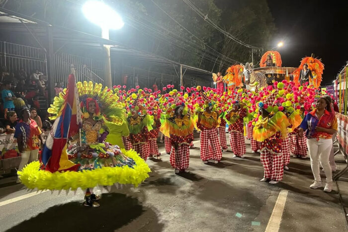 escolas de samba enredo