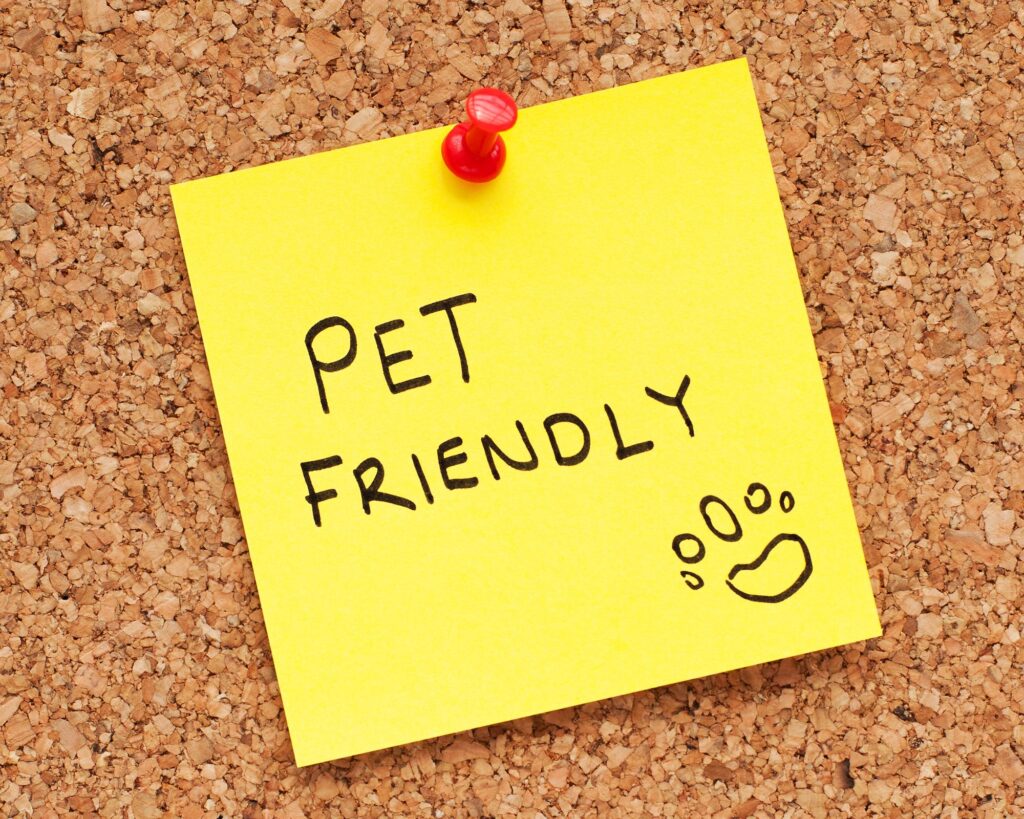 Pet-friendly, de verdade 1 Pet-friendly, de verdade